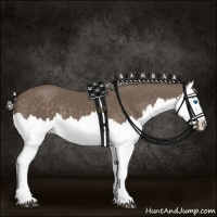 Horse Color:Silver Black Splash 