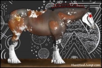 Horse Color:Bay Sabino  and Brown Sabino 