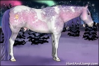 Horse Color:Watercolor Buckskin Ice Onyx Tobiano