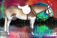 Horse Color:Silver Brown Onyx Splash 