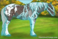 Horse Color:Thunderstruck Silver Black Tobiano Appaloosa
