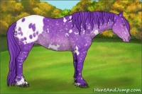 Horse Color:Watercolor White Spotted Brown Sabino Blanket 
