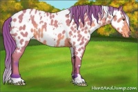 Horse Color:Watercolor White Spotted Buckskin Appaloosa Rabicano 