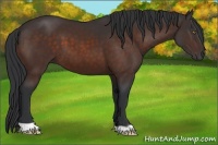 Horse Color:Brown 