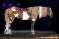 Horse Color:White Spotted Liver Chestnut 