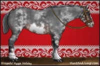 Horse Color:White Spotted Brown Roan Frame 