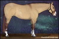 Horse Color:Chocolate Brown Dun Sabino Rabicano