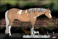 Horse Color:White Spotted Silver Buckskin 