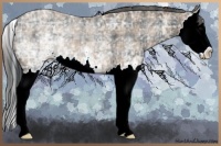 Horse Color:Plaid  White Spotted Brown Ice Splash Rabicano 