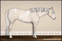 Horse Color:White Spotted Silver Smoky Blue Roan Pearl Splash 