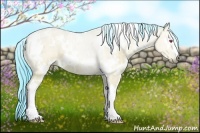 Horse Color:Watercolor White Spotted Brown Chinchilla Dun 