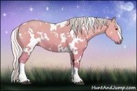 Horse Color:Watercolor White Spotted Silver Bay Dun 