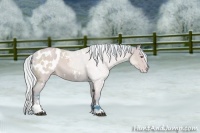 Horse Color:Watercolor White Spotted Silver Bay Chinchilla Dun Sabino Blanket 