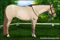 Horse Color:Brown Roan Pearl Dun 