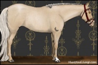 Horse Color:Silver Blue Roan Pearl Rabicano