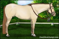 Horse Color:Bay Pearl Dun Rabicano 