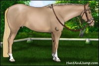 Horse Color:Liver Chestnut Pearl