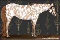 Horse Color:Brown Pearl Near Leopard 
