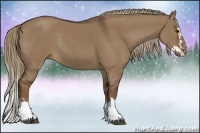 Horse Color:Liver Red Dun Sabino Splash Rabicano 