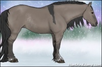 Horse Color:Grullo Sabino Rabicano 