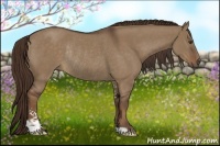 Horse Color:Liver Red Dun Sabino Rabicano 