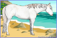 Horse Color:Cremello Sabino  and Gray Cremello Sabino 