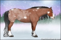 Horse Color:Bay Ice Roan Sabino Splash Rabicano 