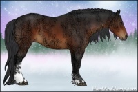 Horse Color:Brown Ice Sabino