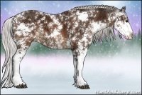 Horse Color:Silver Brown Ice Sabino 