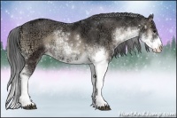 Horse Color:Smoky Blue Onyx Ice Sabino