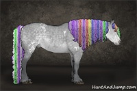 Horse Color:Painted White Spotted Silver Grullo Chinchilla 