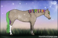 Horse Color:Painted Silver Grullo 