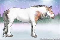 Horse Color:Nacre Brown Ice Sabino Splash Tobiano Frame Rabicano