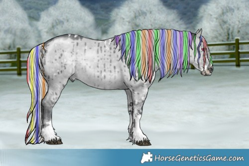 Horse Color:Painted White Spotted Silver Grullo Chinchilla Brindle 