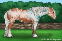Horse Color:Silver Brown Ice Sabino 
