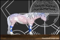 Horse Color:Watercolor White Spotted Silver Brown Chinchilla 
