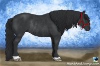Horse Color:Black Rabicano 