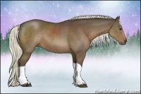 Horse Color:Liver Chestnut Rabicano 