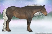 Horse Color:Liver Chestnut Rabicano 