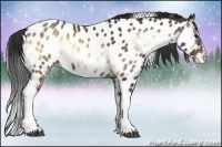 Horse Color:Brown Onyx Sabino Tobiano Near Leopard