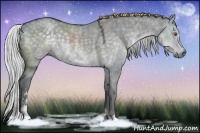 Horse Color:Silver Grullo Chinchilla Sabino 