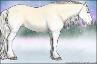 Horse Color:Cremello Dun Splash 