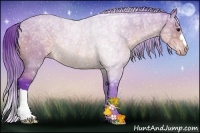 Horse Color:Watercolor Buckskin Ice Varnish Rabicano