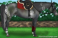 Horse Color:White Spotted Black 