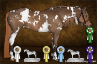 Horse Color:White Spotted Liver Chestnut 