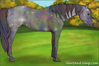 Horse Color:Nacre Black 