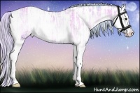 Horse Color:Watercolor Silver Bay Ice Onyx Sabino Splash