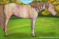 Horse Color:Nacre Brown Pearl 