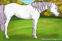 Horse Color:Painted Smoky Creme Ice Appaloosa 