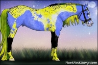 Horse Color:Watercolor Black Splash Tobiano 